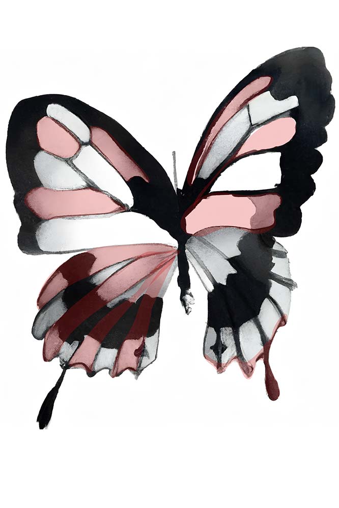 Papillon